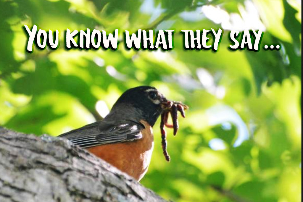 Lessons from the Early Bird