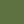 Green Belt/Black