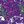 Paint Splatter - Purple