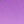 Purple/Black