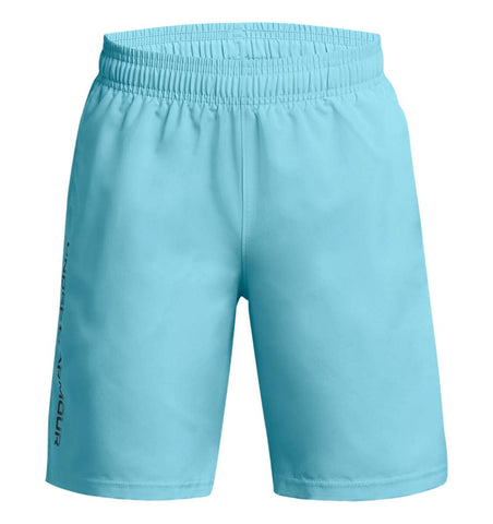 Under Armour Boys' UA Tech Woven Wordmark Shorts|1383341914YS,1383341914YM,1383341914YL,1383341914YXL