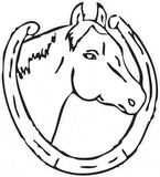 Camp Logo-Valley View Ranch