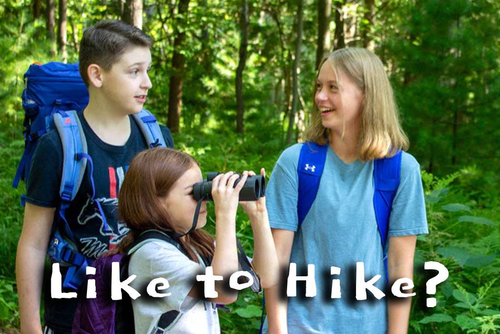 Let’s Hit the Trails: Awesome Hiking Tips for Kids!