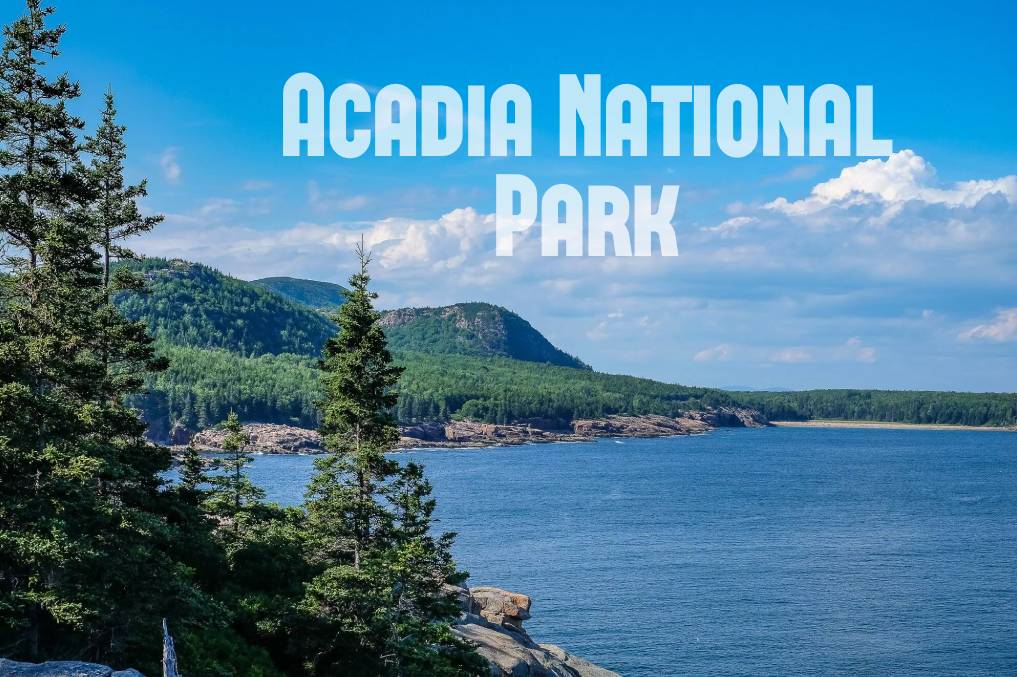 Discover the Beauty of Acadia National Park with Our National Parks Trunk Collection