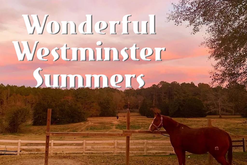 Worshipping, Riding, and More at Camp Westminster