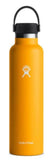 Hydro Flask 24 oz Standard Mouth Flex Cap Water Bottle