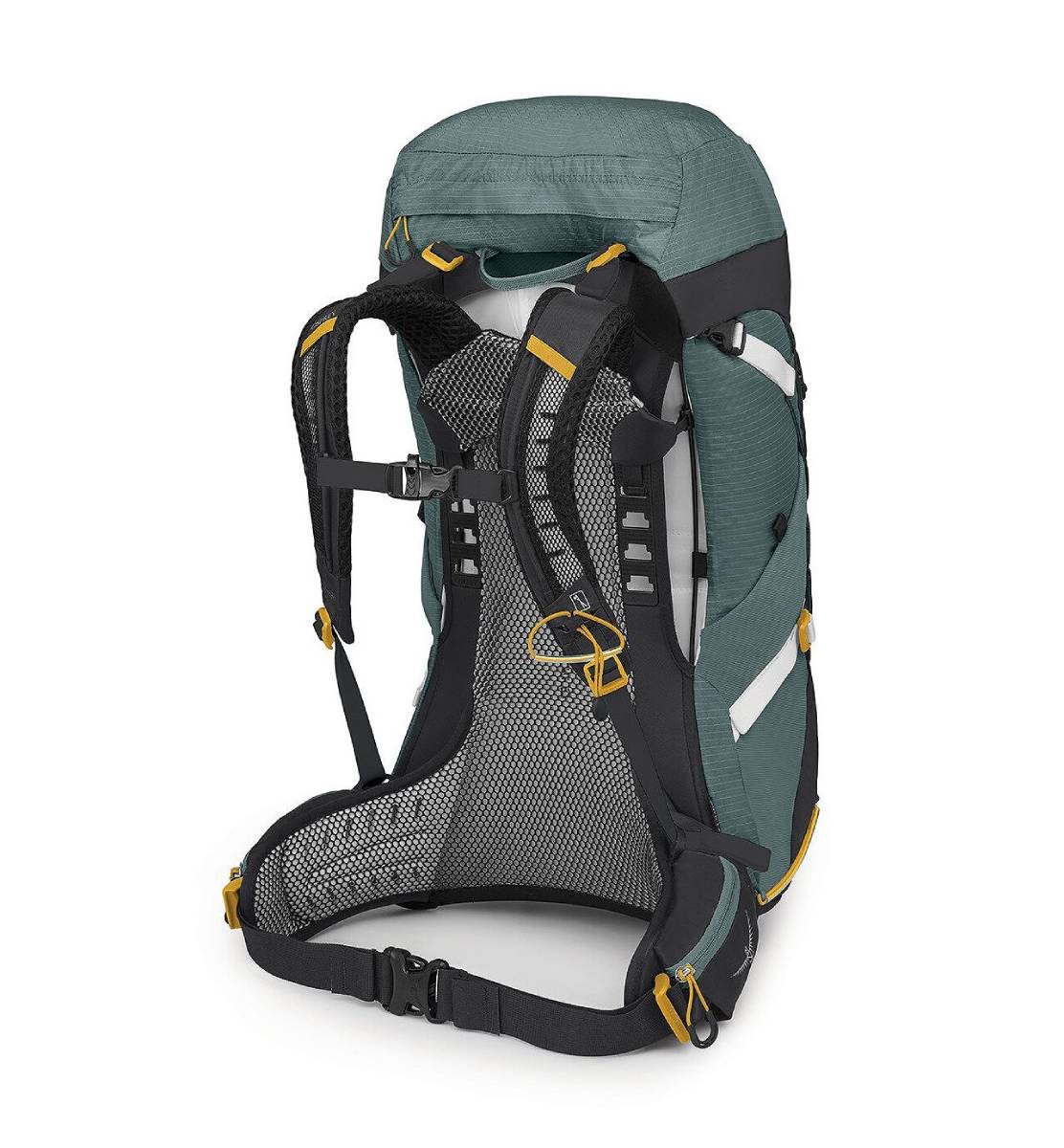 osprey succulent green Osprey Sirrus 36