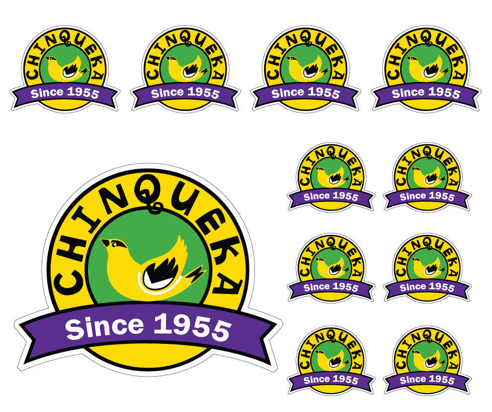 Camp Logo-Camp Chinqueka Decal Set 11-Pack