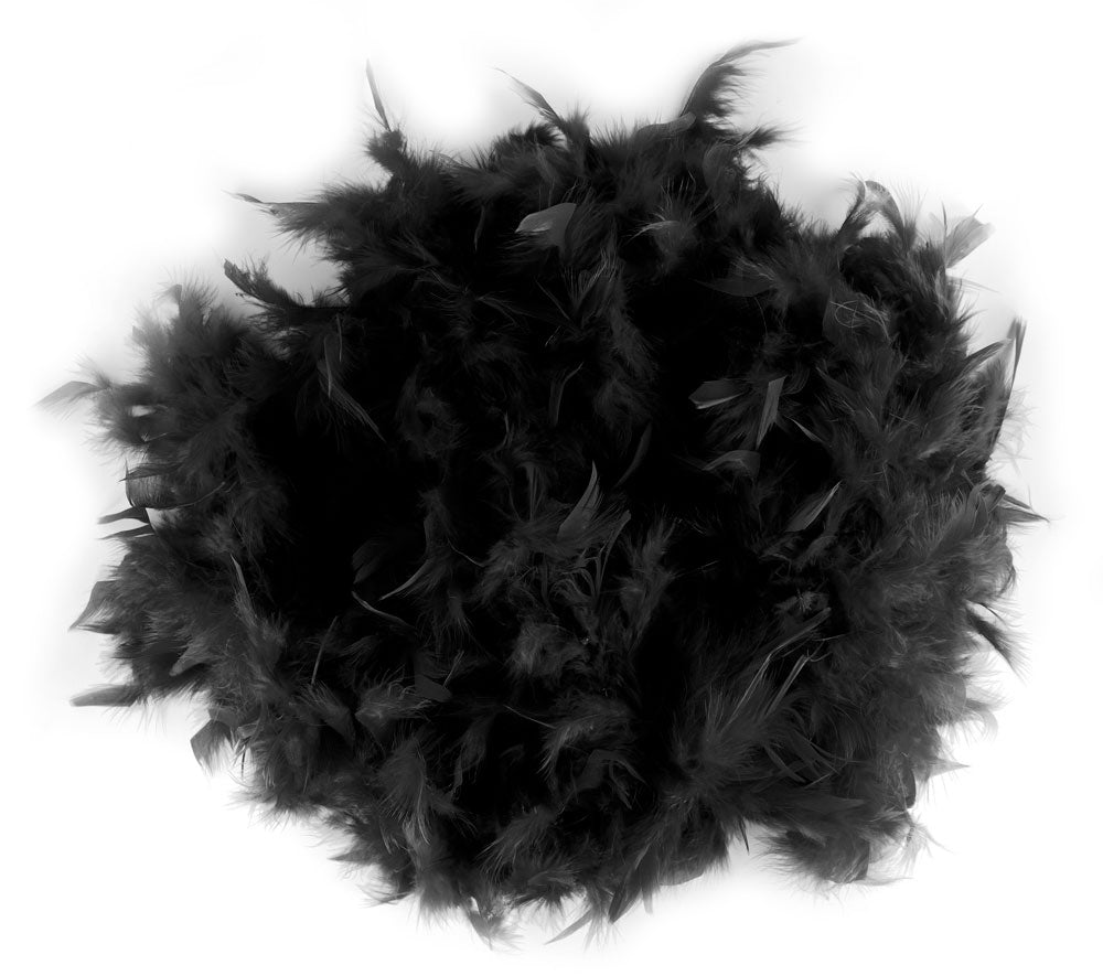 Windy City Novelties Black Feather Boa