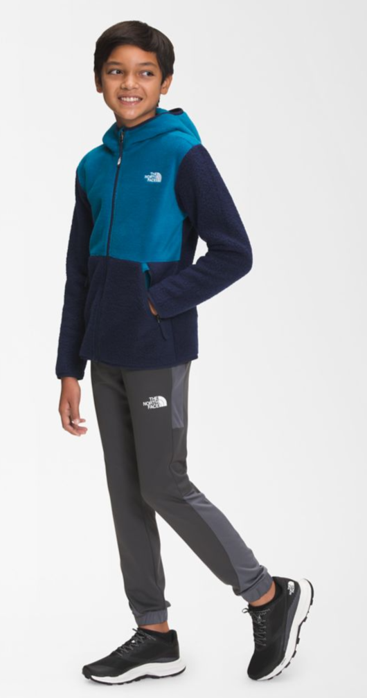 The north face mack 2025 ease fz hoodie 2.0